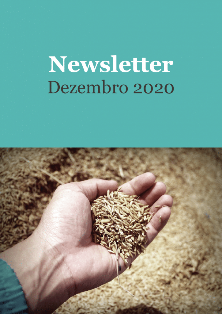 Newsletter 04